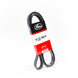 VMP Performance Belt for Coyote w/ Odin/Loki Kit and 3.4in-3.5in Pulley