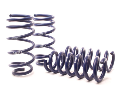 H&R 11-19 Dodge Charger SE/SXT/SXT Plus (2WD/4WD) Rallye/Plus/V6 Sport Spring